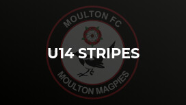U14 Stripes