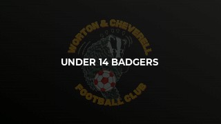 Badgers Promotion Push Lift Off!