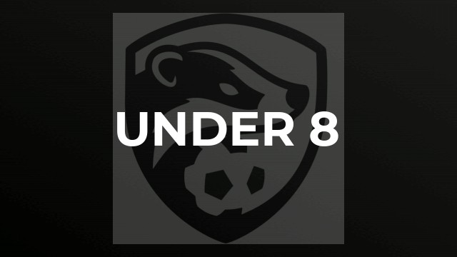 UNDER 8