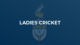 Ladies Cricket