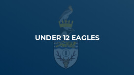 Under 12 Eagles