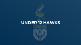 Under 12 Hawks