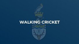 Walking Cricket