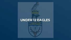 Under 12 Eagles