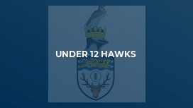 Under 12 Hawks