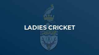 Ladies Cricket