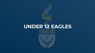 Under 12 Eagles