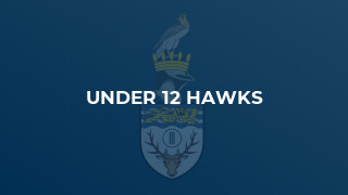 Under 12 Hawks
