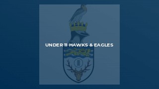 Under 11 Hawks & Eagles