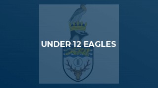 Under 12 Eagles