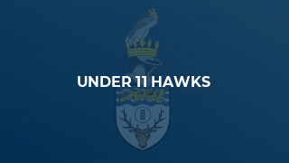 Under 11 Hawks