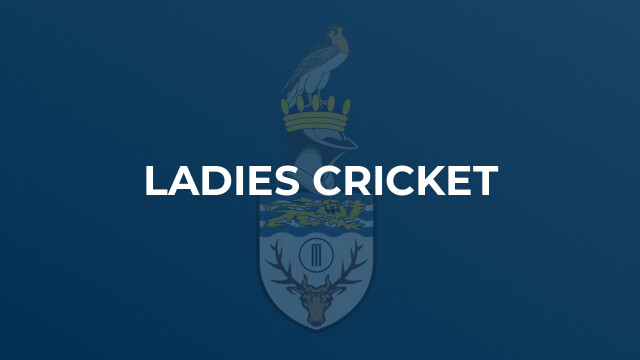 Ladies Cricket