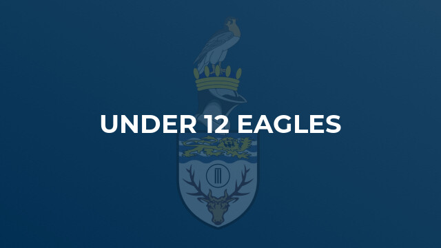Under 12 Eagles