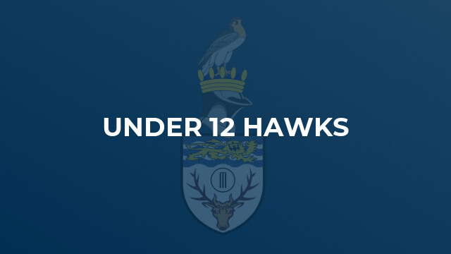 Under 12 Hawks