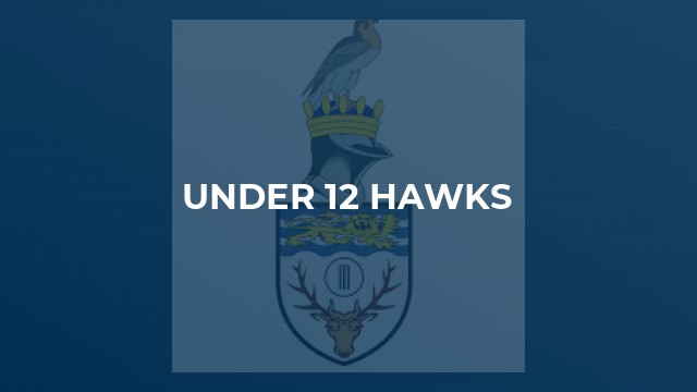 Under 12 Hawks