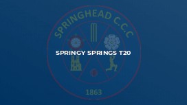 Springy Springs T20