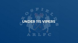 Under 11s Vipers