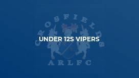 Under 12s Vipers