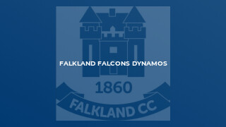 Falkland Falcons Dynamos