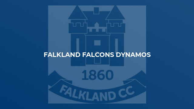 Falkland Falcons Dynamos