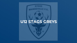 U12 Stags Greys