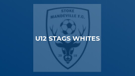 U12 Stags Whites