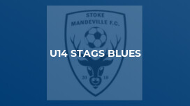 U14 Stags Blues