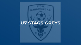 U7 Stags Greys