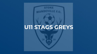 U11 Stags Greys