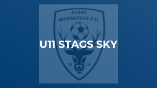 U11 Stags Sky