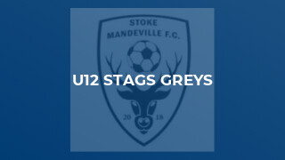 U12 Stags Greys