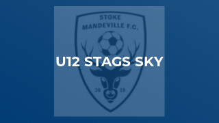 U12 Stags Sky