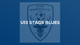 U13 Stags Blues