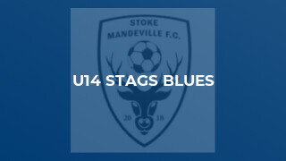 U14 Stags Blues