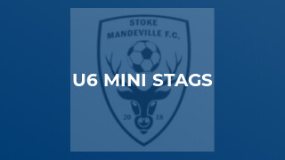 U6 Mini Stags