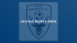 U6 Stags Blues & Greys