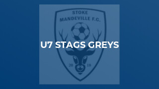 U7 Stags Greys