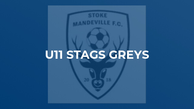 U11 Stags Greys