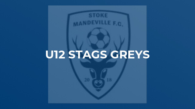U12 Stags Greys