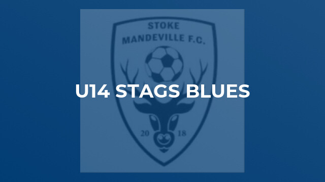 U14 Stags Blues