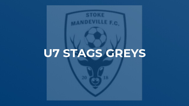 U7 Stags Greys