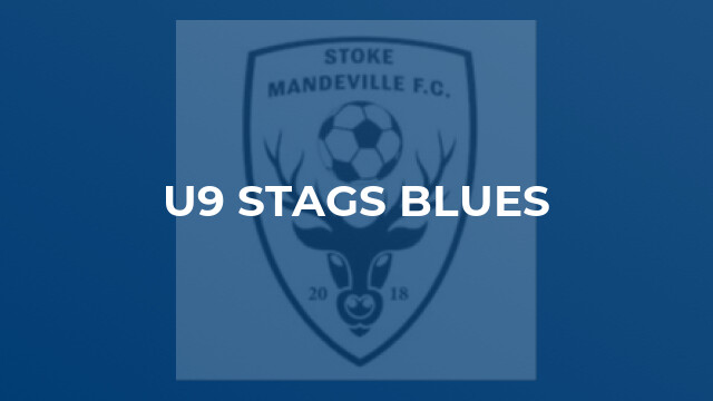 U9 Stags Blues