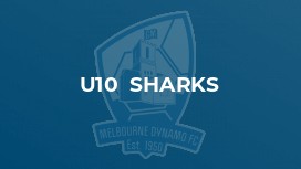 u10  Sharks