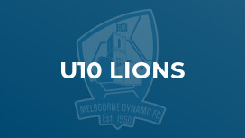 u10 Lions
