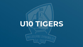 u10 Tigers