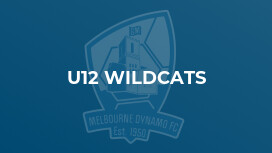 u12 Wildcats