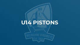 u14 Pistons