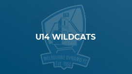 u14 Wildcats