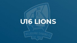 u16 Lions