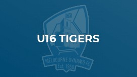 u16 Tigers